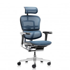 Ergohuman NEW Colors - Ergohuman Blue